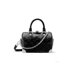 Speedy Trunk 20 M27921, Louis Vuitton’s