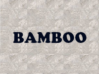 Bamboo