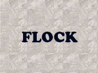 Flock